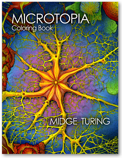 Microtopia by Midge Turing